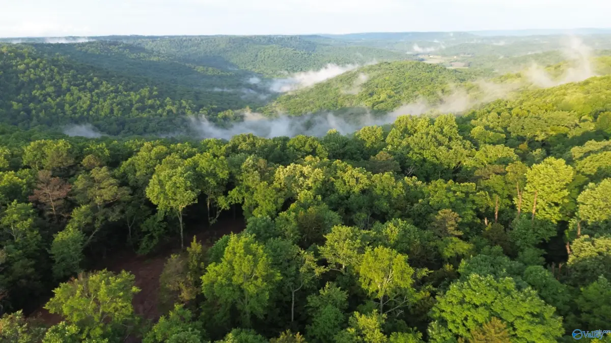18 Paramount Drive, Grant, AL 35747 - #1