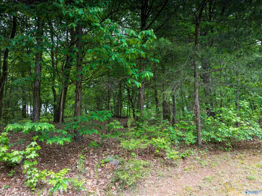 16 Acres County Road 1025, Fort Payne, AL 35967 - #3