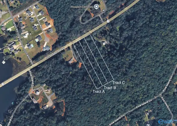Tract B14 Highway 79, Scottsboro, AL 35769