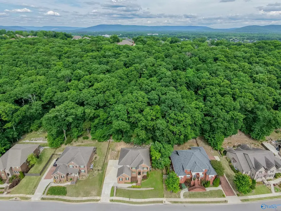 7087 Pale Dawn Place Se, Owens Cross Roads, AL 35763 - #2
