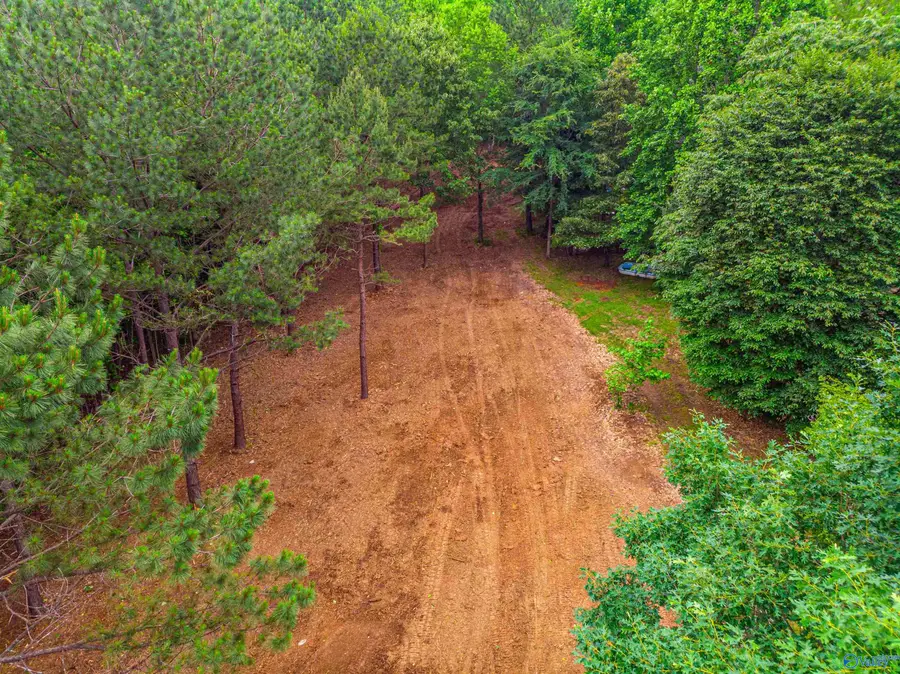 Lot 162 Sergeant Holden Lane, Athens, AL 35614 - #3