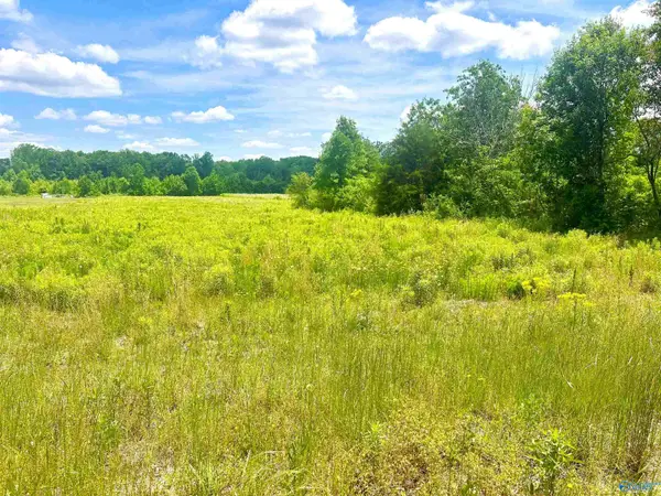 Tract 5 Loggins Road, Athens, AL 35614