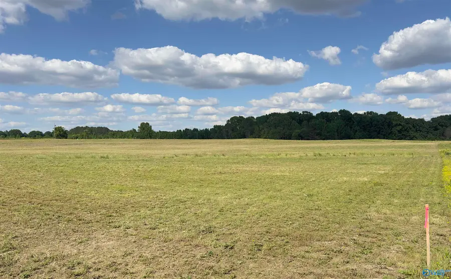 3 Meadows Road, Athens, AL 35613 - #3