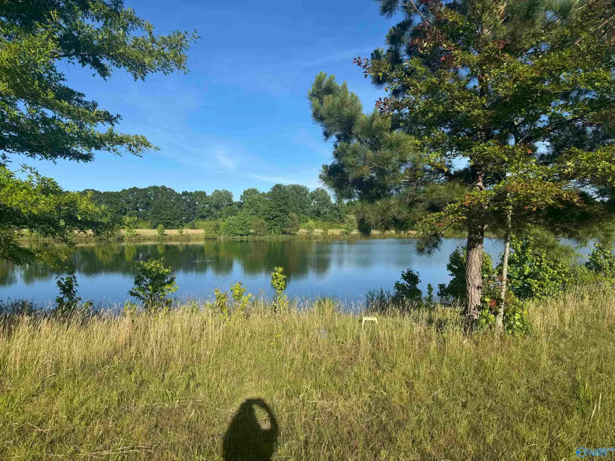 645 County Road 487, Moulton, AL 35650 - #1