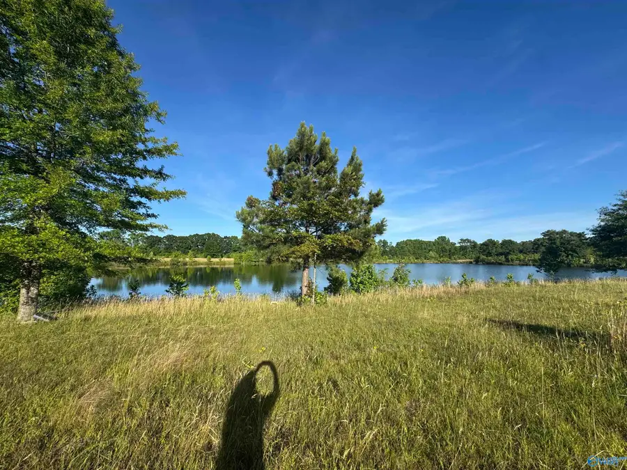 645 County Road 487, Moulton, AL 35650 - #3
