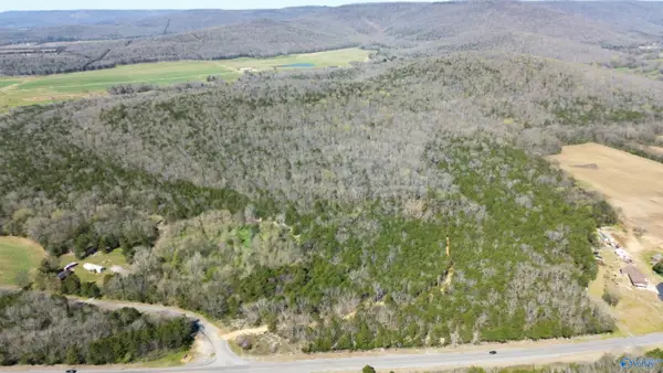 19 County Road 30, Scottsboro, AL 35768