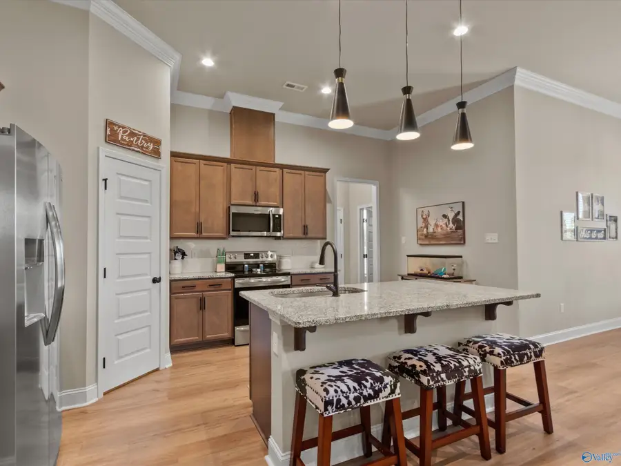 24495 Bekah Lane, Toney, AL 35773 - #3
