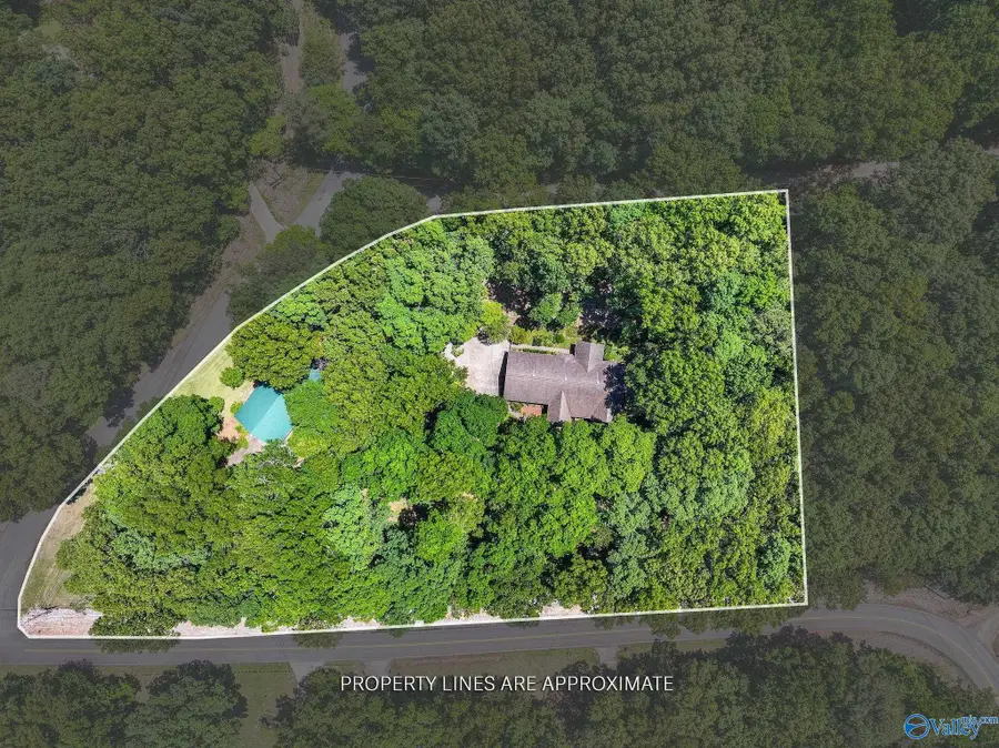 37 Fieldstone Place, Somerville, AL 35670 - #2