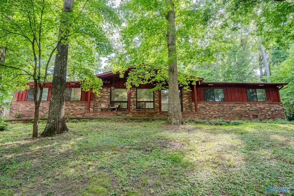 3919 South Chapel Hill Road Sw, Decatur, AL 35603