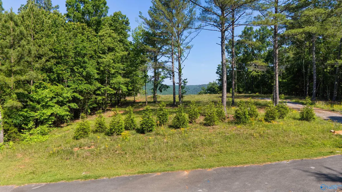 1450 County Road 137, Cedar Bluff, AL 35959 - #1