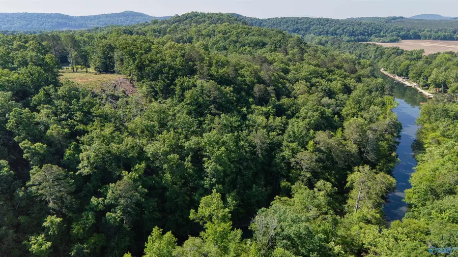 1450 County Road 137, Cedar Bluff, AL 35959 - #3