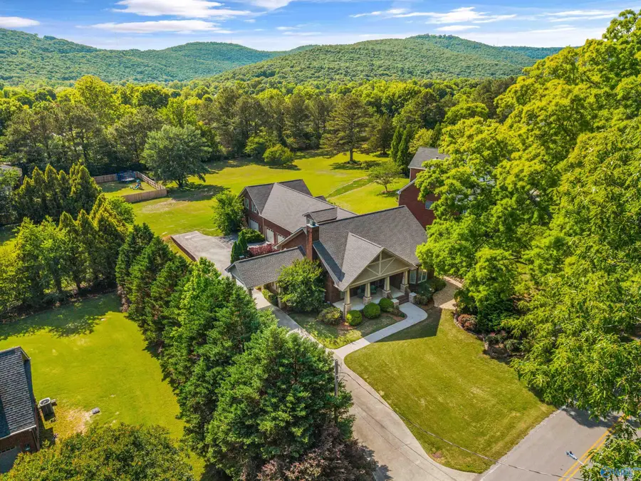 122 Williams And Broad Drive, Brownsboro, AL 35741 - #2