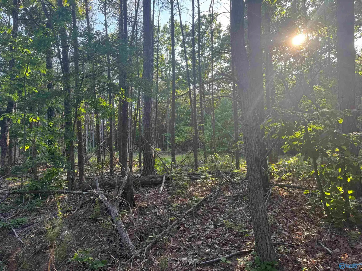 475 Summer House Mountain Road, Cherokee, AL 35616 - #1