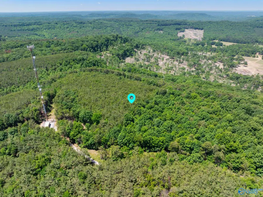 475 Summer House Mountain Road, Cherokee, AL 35616 - #2