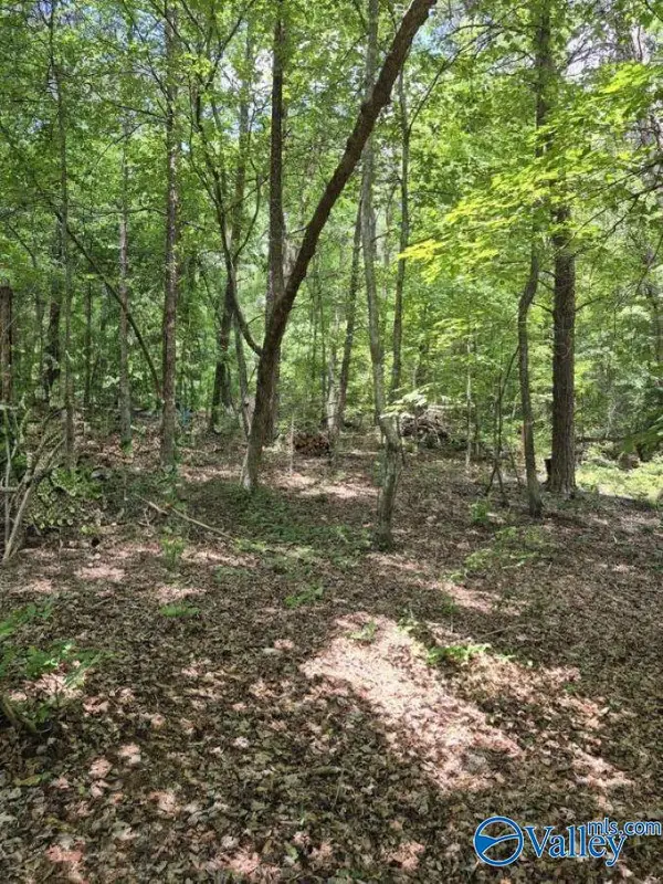 Lot 2 Cherokee County Road 275, Fort Payne, AL 35967
