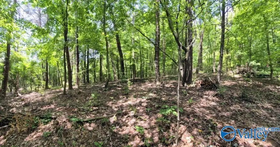 Lot 2 Cherokee County Road 275, Fort Payne, AL 35967 - #2