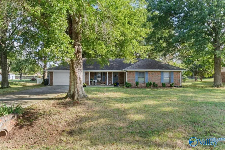 142 Raspberry Way, Madison, AL 35757 - #3