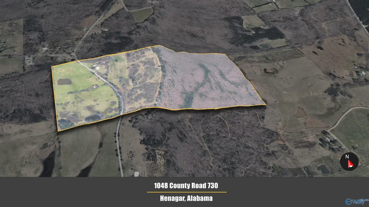 1048 County Road 730, Henagar, AL 35978 - #1