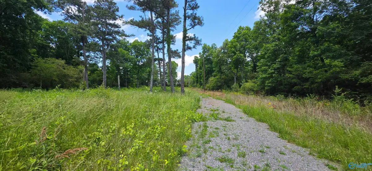 Lot 1 Shankles Circle, Rainsville, AL 35986 - #1