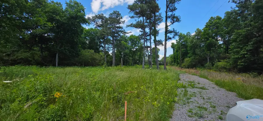 Lot 1 Shankles Circle, Rainsville, AL 35986 - #3