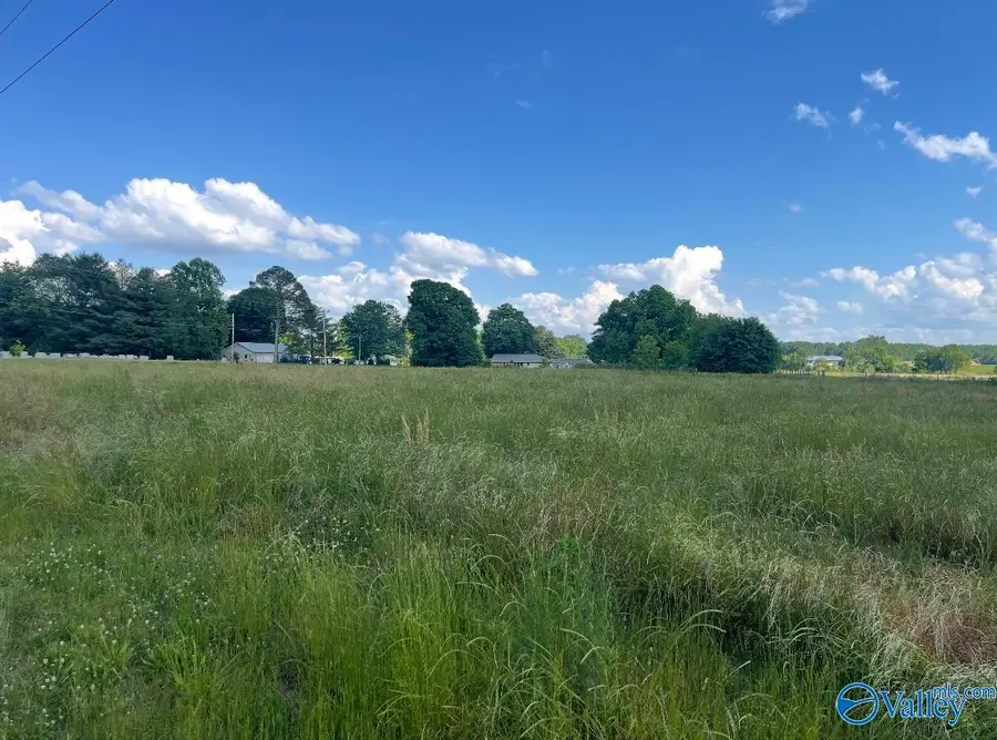 4.94 ac Pleasant Hill Road, Guntersville, AL 35976 - #2