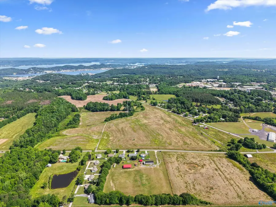 50 ac Pleasant Hill Road, Guntersville, AL 35976 - #2
