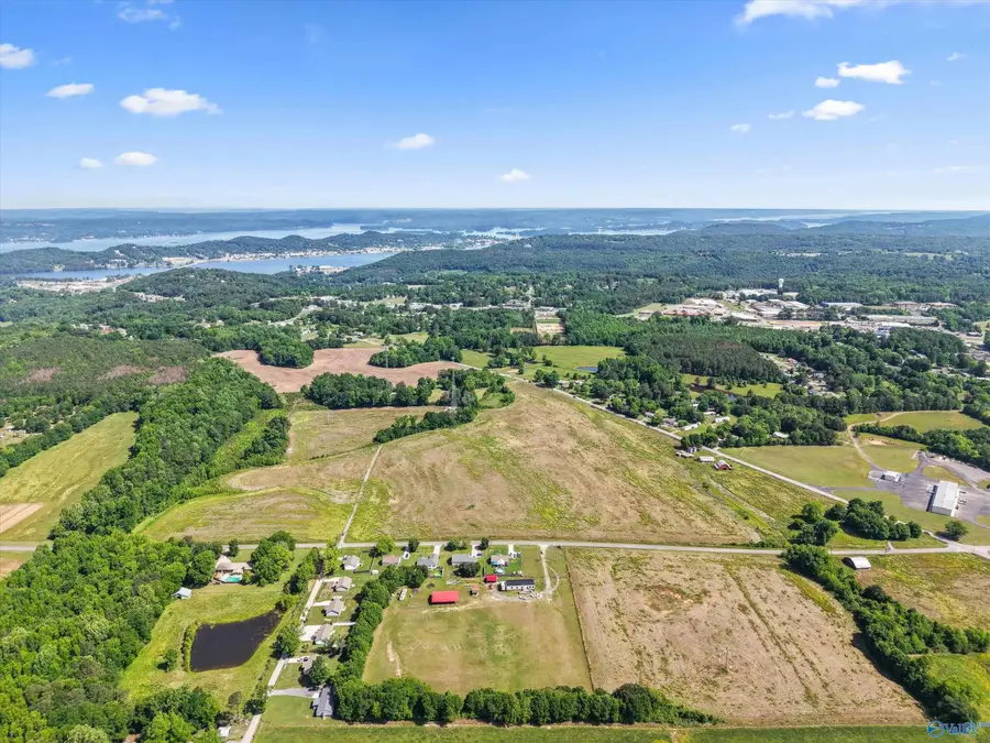 50 ac Pleasant Hill Road, Guntersville, AL 35976 - #3