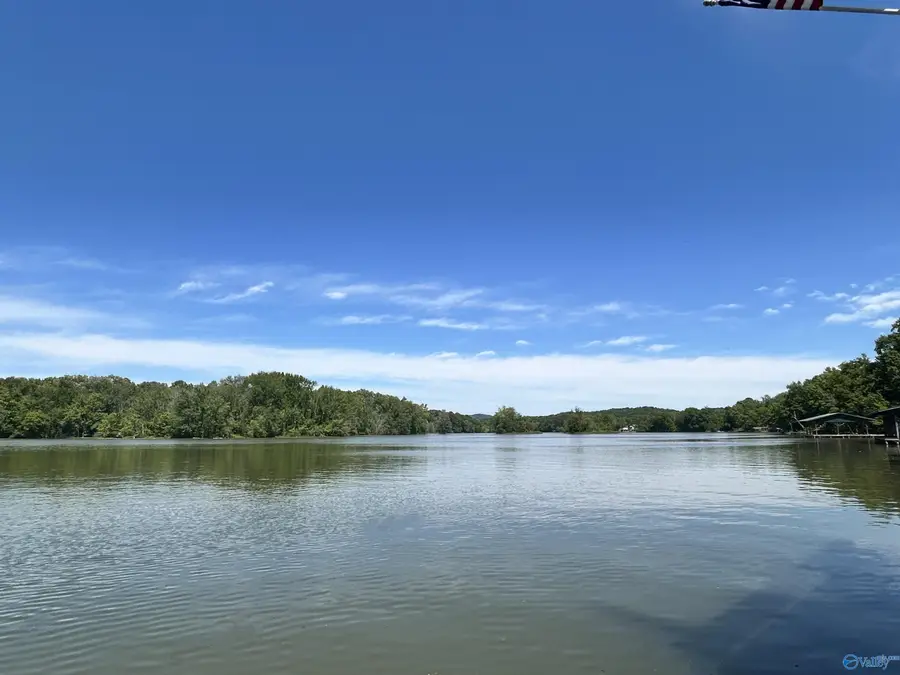 509 County Road 585, Cedar Bluff, AL 35959 - #3