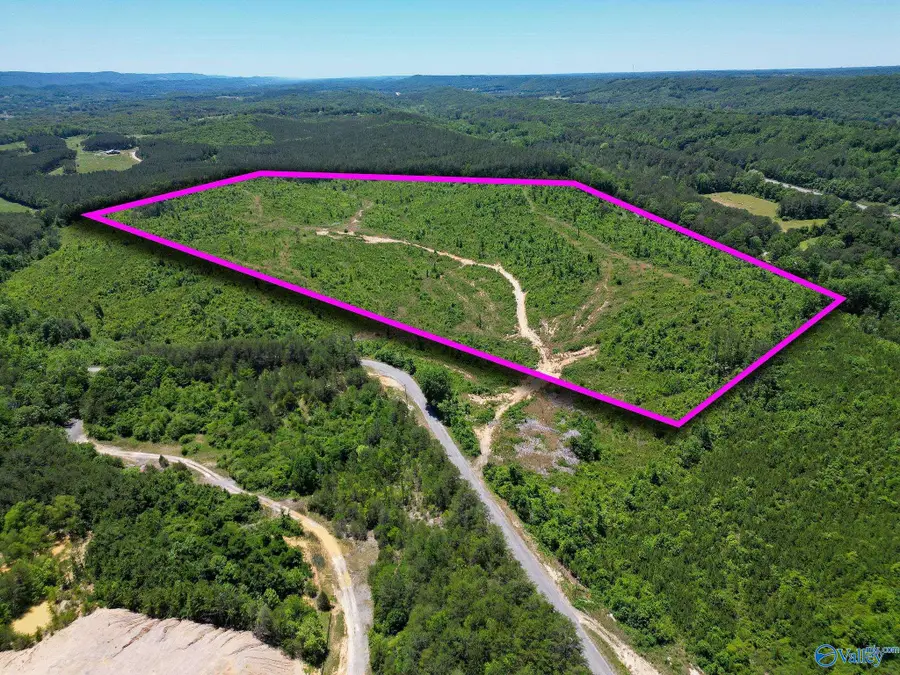 74 ACRES Bethel Road, Valley Head, AL 35989 - #2