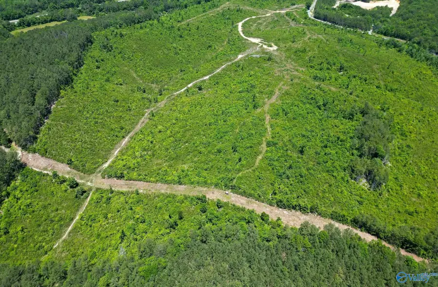 74 ACRES Bethel Road, Valley Head, AL 35989 - #3