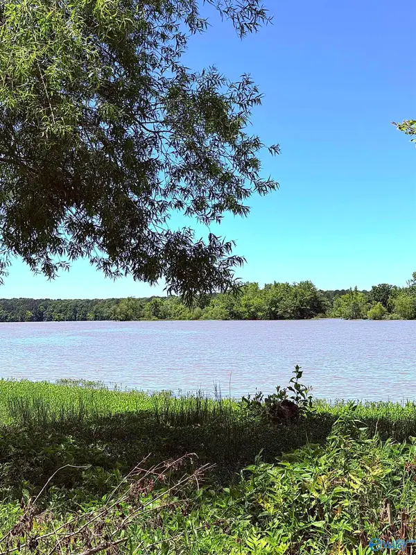 Lot 41 County Road 1008, Cedar Bluff, AL 35959
