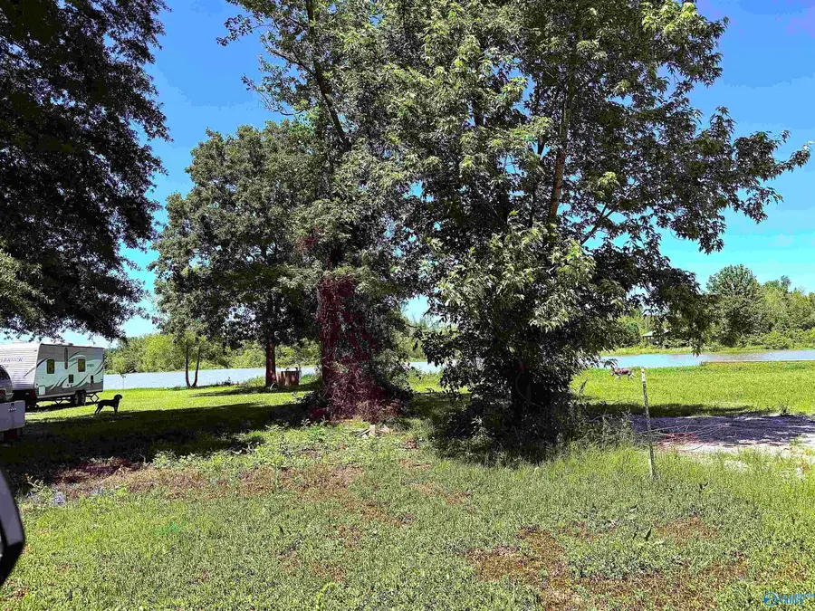Lot 41 County Road 1008, Cedar Bluff, AL 35959 - #2
