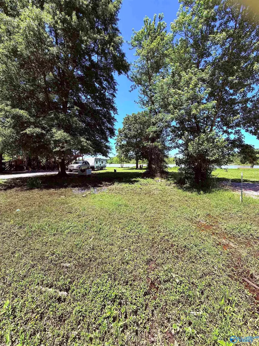 Lot 41 County Road 1008, Cedar Bluff, AL 35959 - #3