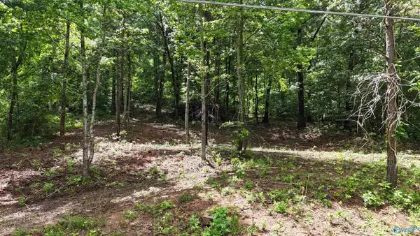 Lot 118 Honeycomb Valley Road, Grant, AL 35747