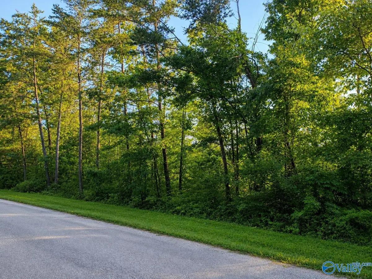 Tract 12C-13 County Road 711 #12C-13, Cedar Bluff, AL 35959 - #1