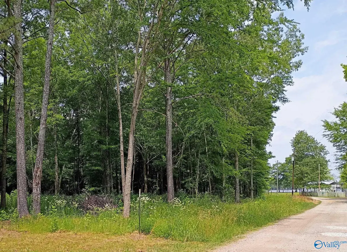 Lots 6-8 County Road 450, Centre, AL 35960 - #1