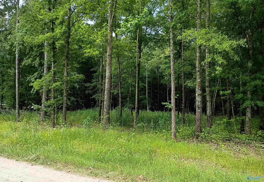 Lots 6-8 County Road 450, Centre, AL 35960 - #3