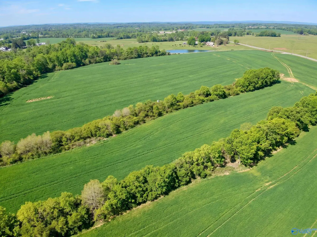 15.98 Acres County Road 154, Section, AL 35771 - #1