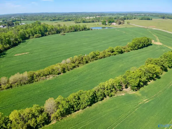 15.98 Acres County Road 154, Section, AL 35771