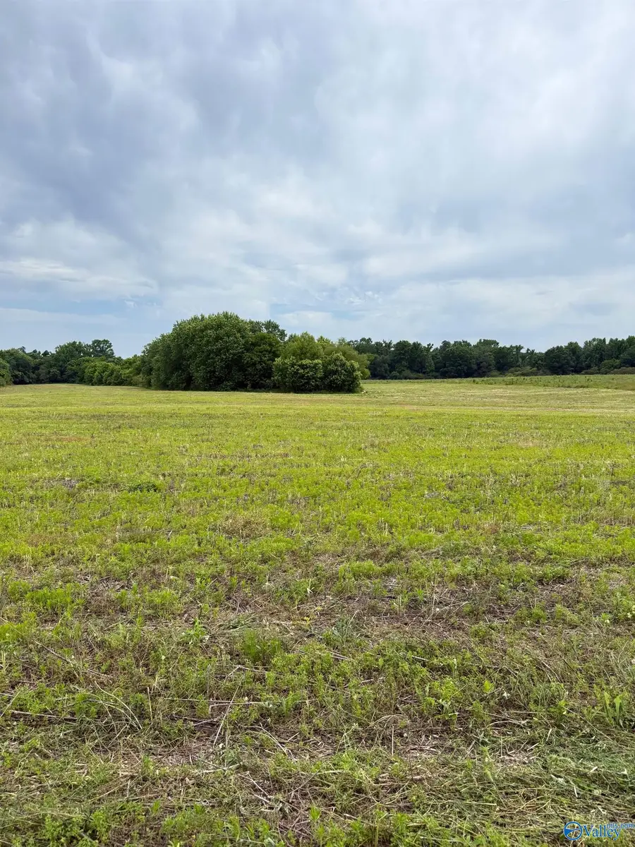 15.98 Acres County Road 154, Section, AL 35771 - #3