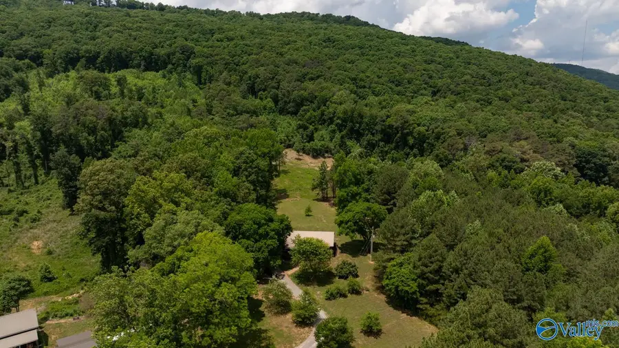 401 Worley Drive, Owens Cross Roads, AL 35763 - #3
