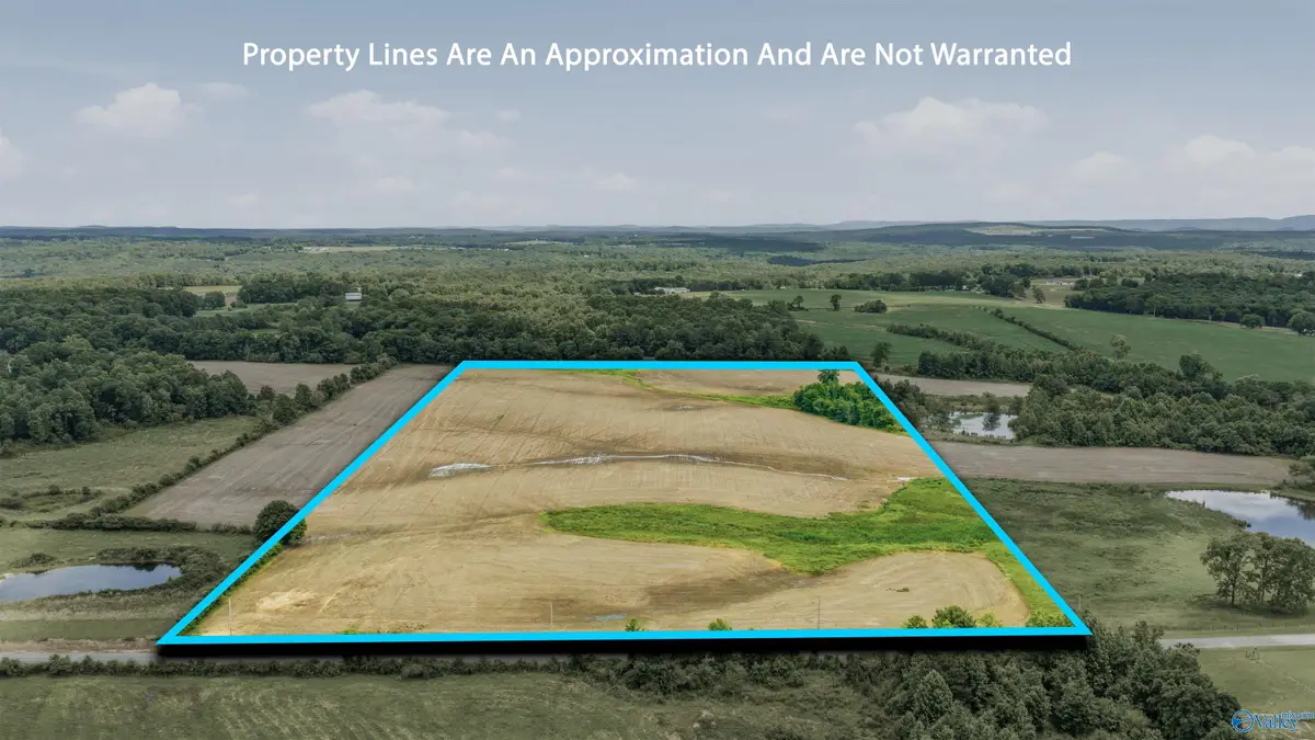 30 ACRES County Road 271, Fort Payne, AL 35967 - #1