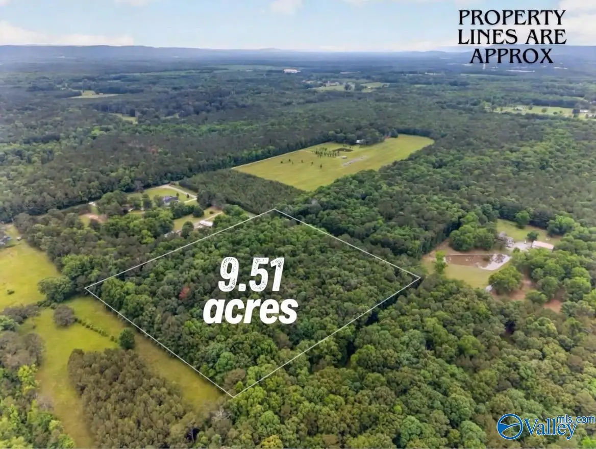 243 Friendship Road, Rainbow City, AL 35906 - #1