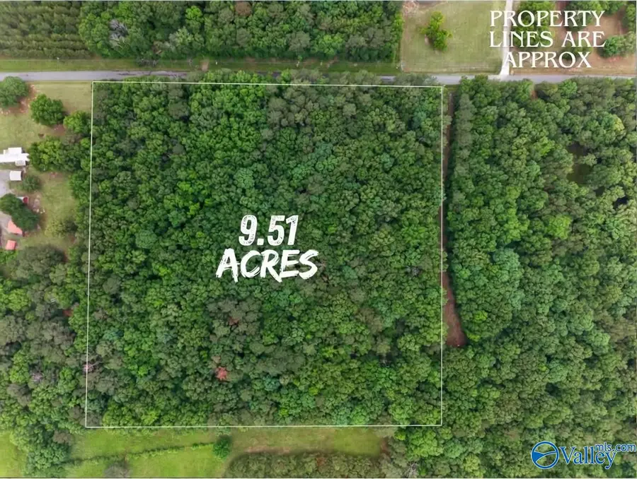 243 Friendship Road, Rainbow City, AL 35906 - #2