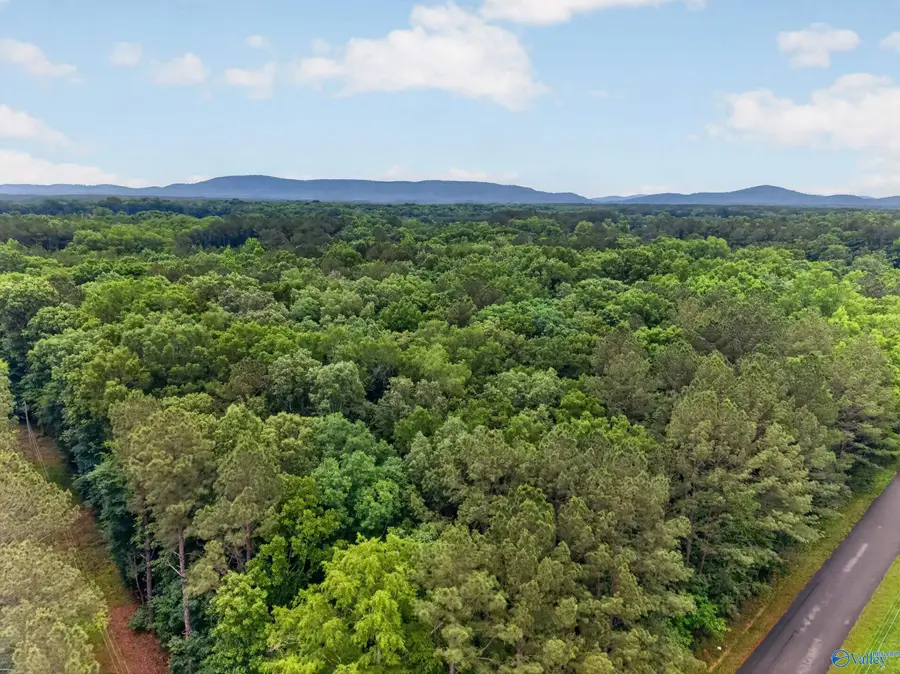 243 Friendship Road, Rainbow City, AL 35906 - #3