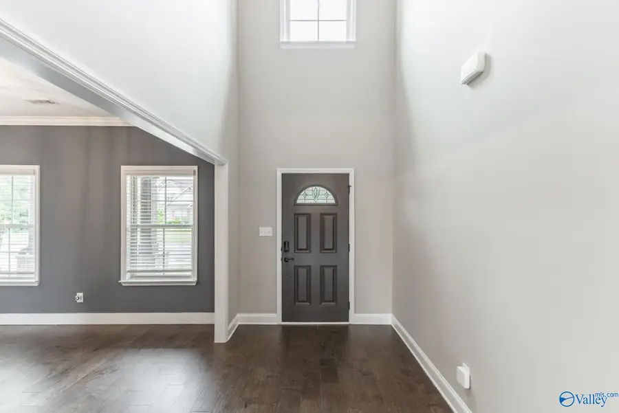 104 Ivy Vine Drive, Toney, AL 35773 - #3