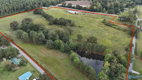 28 ACRES Us Highway 278, Blountsville, AL 35031