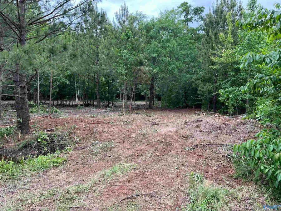 113 Whitfield Drive, Toney, AL 35773 - #3