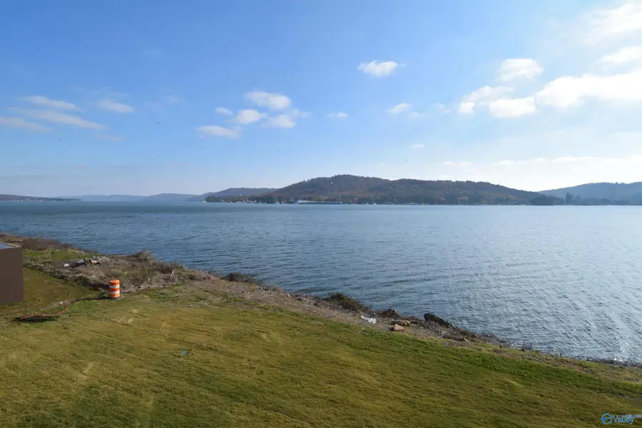202 Paddle Wheel Drive #202, Guntersville, AL 35976 - #3