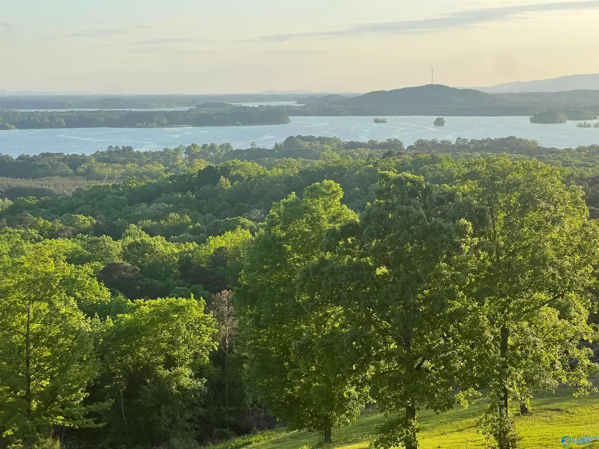 Lot 21 County Road 1015, Cedar Bluff, AL 35959 - #1